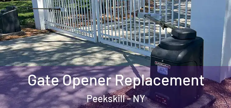 Gate Opener Replacement Peekskill - NY